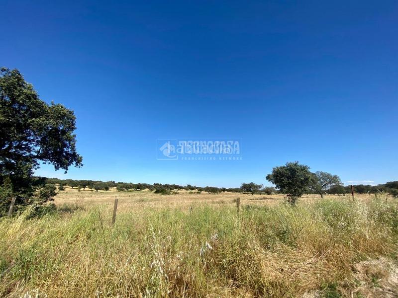 Foto 1fcc4901-0bf2-472a-811f-0e3c6ffe9353. Rural plot in Esparragalejo