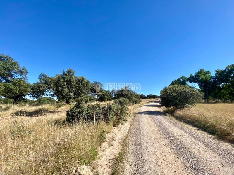 Foto 4a5947bc-1e9c-40cd-b650-a975867e1c0d. Rural plot in Esparragalejo