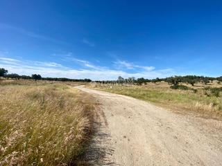 Finca rústica a Esparragalejo. Terrenos en venta en esparragalejo