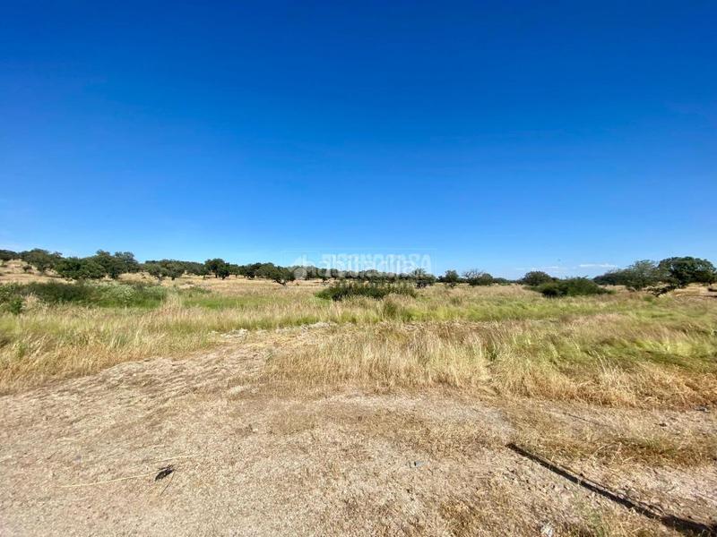 Foto c776b508-766f-471b-a072-a0333f319ec3. Rural plot in Esparragalejo