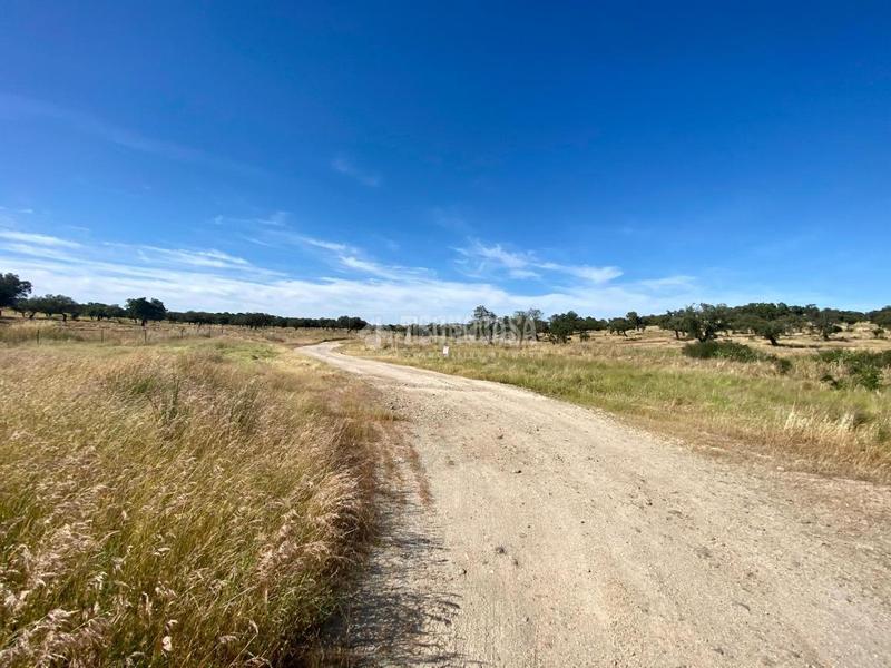 Foto d55c602e-33f8-47a5-afa1-65021d5ff5aa. Rural plot in Esparragalejo