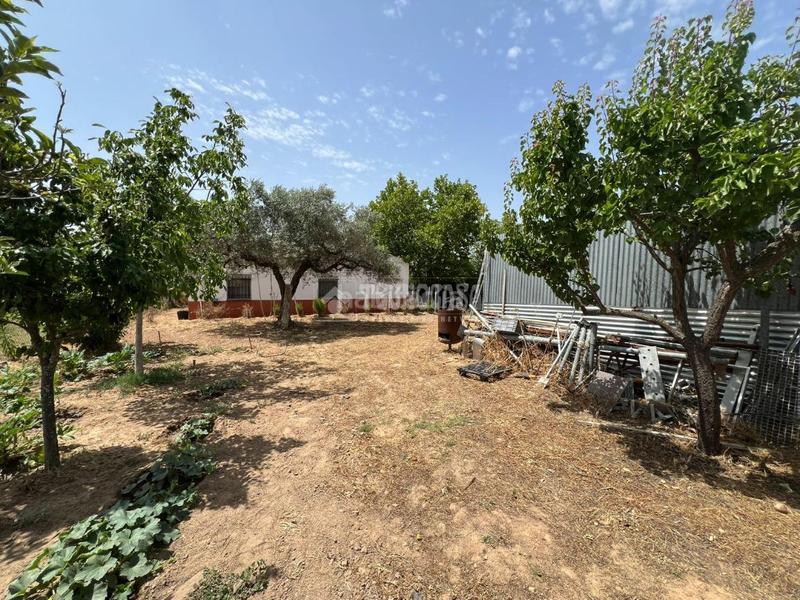 Foto 3bfd0c76-3b1e-45a9-bf49-c4e7f33151a0. Masia a Don Álvaro