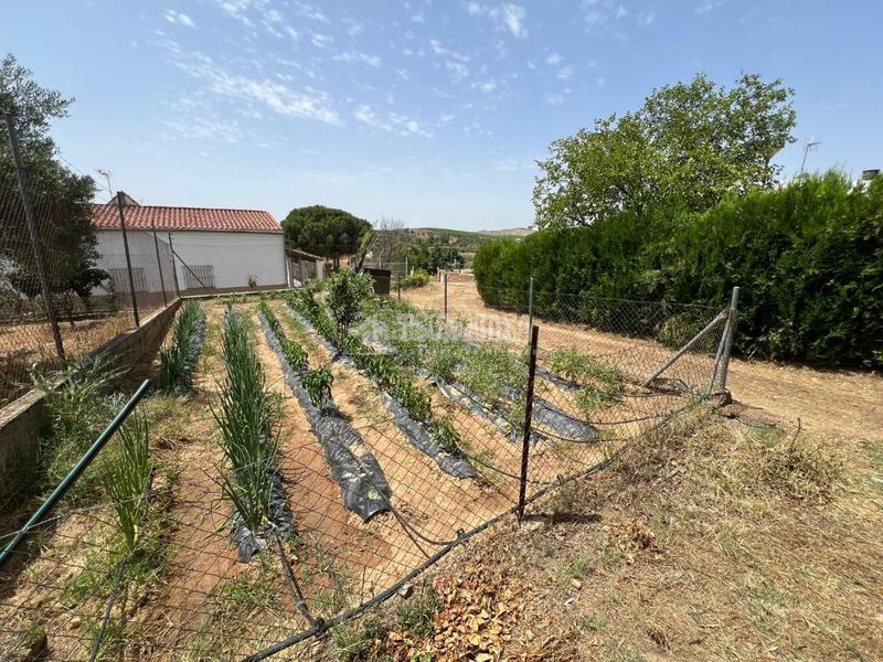 Foto 8e2cc992-2fbe-4f7c-b173-7677c7f877b4. Masia a Don Álvaro