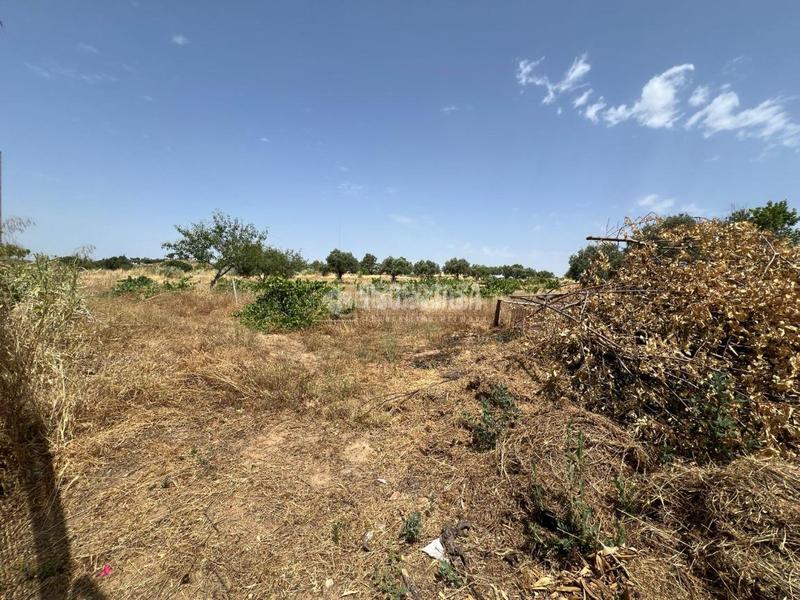 Foto e7877af8-3510-4a14-92fb-95991948b6d1. Masia a Don Álvaro