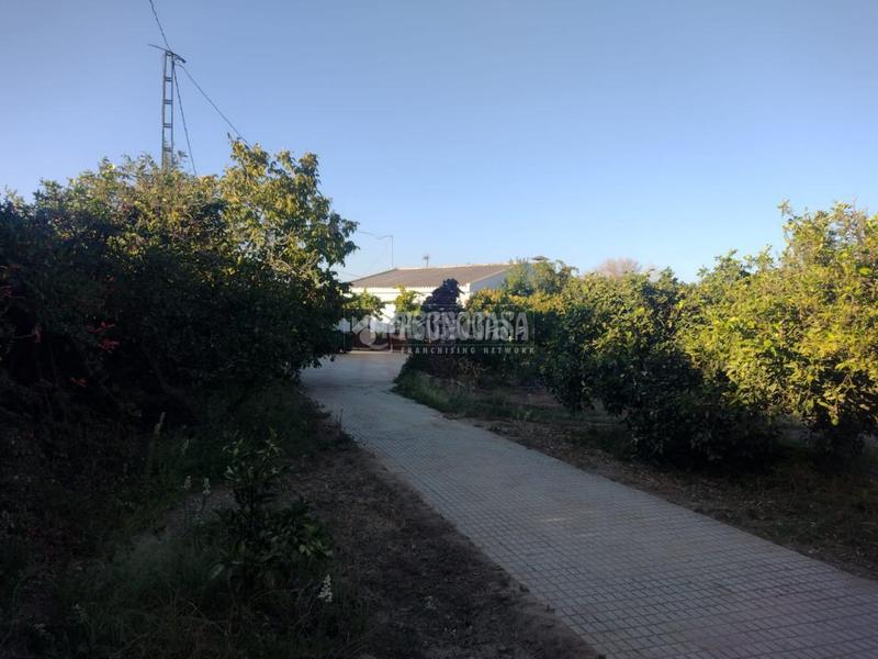 Foto 37819bfe-1043-4848-b1a7-8e19dfa33283. Mas dans Valverde de Mérida