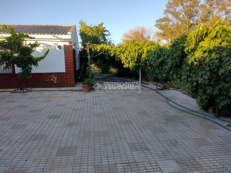 Foto 4e50beb6-d455-428e-b88f-c9e24f5c7528. Mas dans Valverde de Mérida