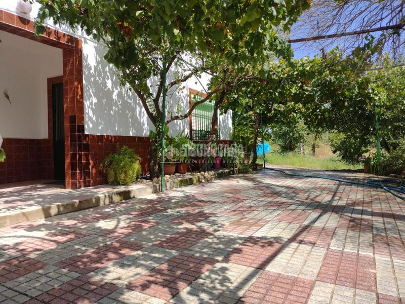 Foto 5a518c62-4b33-4917-9896-5525848acdfc. Mas dans Valverde de Mérida