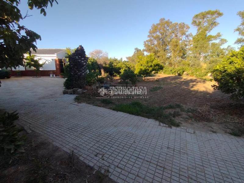 Foto 5a69c875-7bd8-47e5-b60d-b3a9fe77a16b. Mas dans Valverde de Mérida