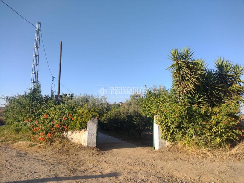 Foto 98078c83-3a45-4879-8884-848965e8644b. Mas dans Valverde de Mérida