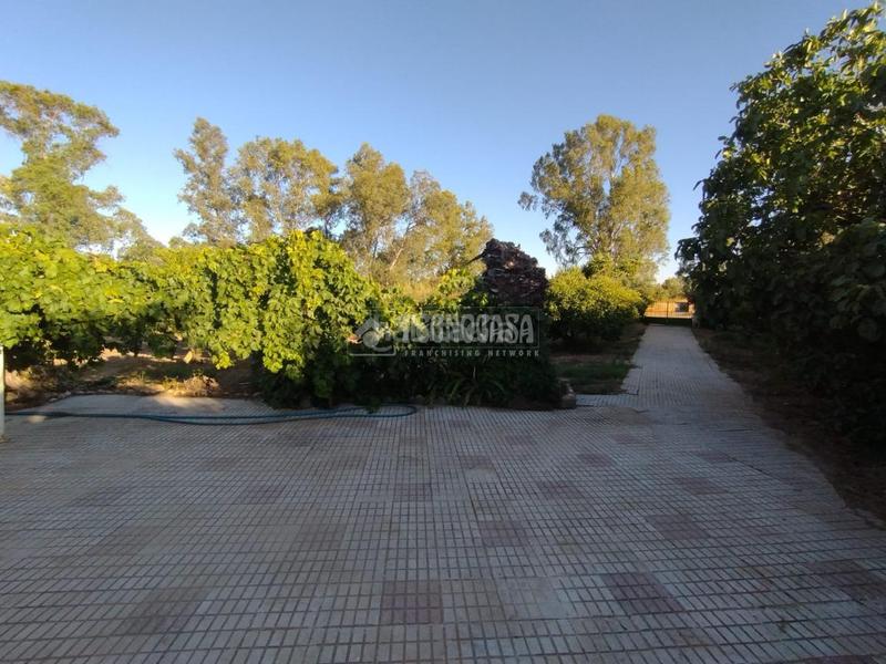 Foto c0e94f14-26bf-4783-bdc6-1f2e0ea253ed. Mas dans Valverde de Mérida