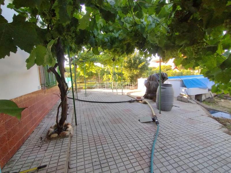 Foto c8438b37-e210-4f38-ad49-5a1cf4bfbde5. Mas dans Valverde de Mérida