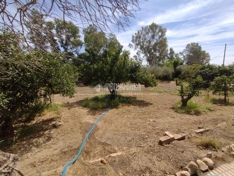 Foto f4d6ea56-cca8-4b2c-a017-2213fd494c11. Mas dans Valverde de Mérida