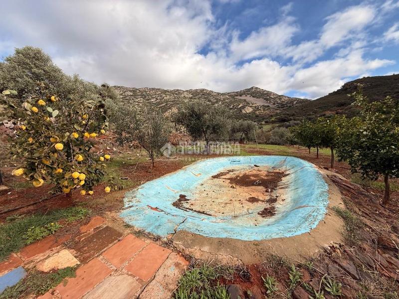 Foto da2908c1-59bf-4ac8-bb98-56064d8b2f13. House in Alange