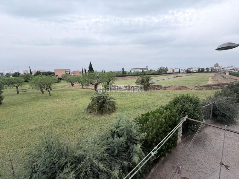 Foto 7d3e5673-6952-4b78-92d2-f26797ddf8d8. Piso  en venta en Este Mérida