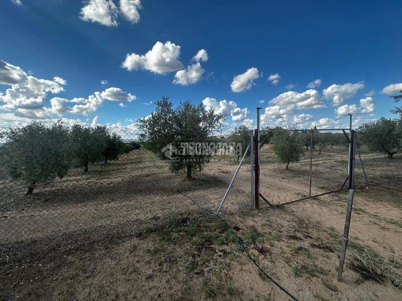 Foto 066d34a5-5e54-41c0-b332-0b5fb6065261. Finca rústica a Guareña