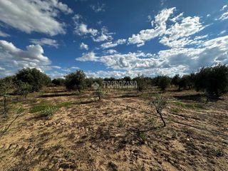 Finca rústica a Guareña. Terrenos en venta en guareña