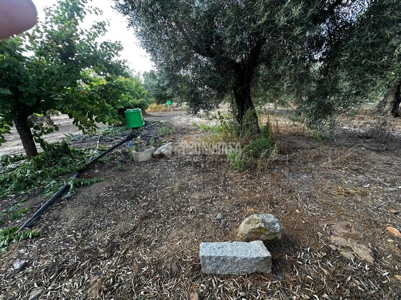 Foto b2e85fa2-eec1-4b11-8380-db18e20b59f4. Finca rústica a Guareña