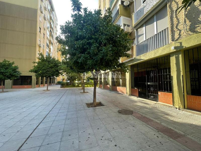 Foto 4e0617dd-de97-473a-b38b-6d0c0d41d0fd. Appartamento in Pino Montano - Consolación Sevilla