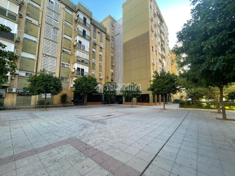 Foto 60ec2b0e-e915-45d4-a5cc-40817897c0e7. Appartamento in Pino Montano - Consolación Sevilla