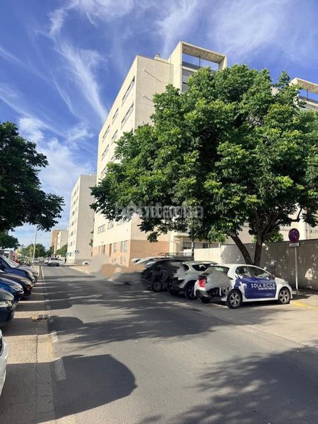 Foto cc2ff705-0703-41fc-a11d-6a755d1120cd. Pis amb aparcament a Pino Montano - Consolación Sevilla