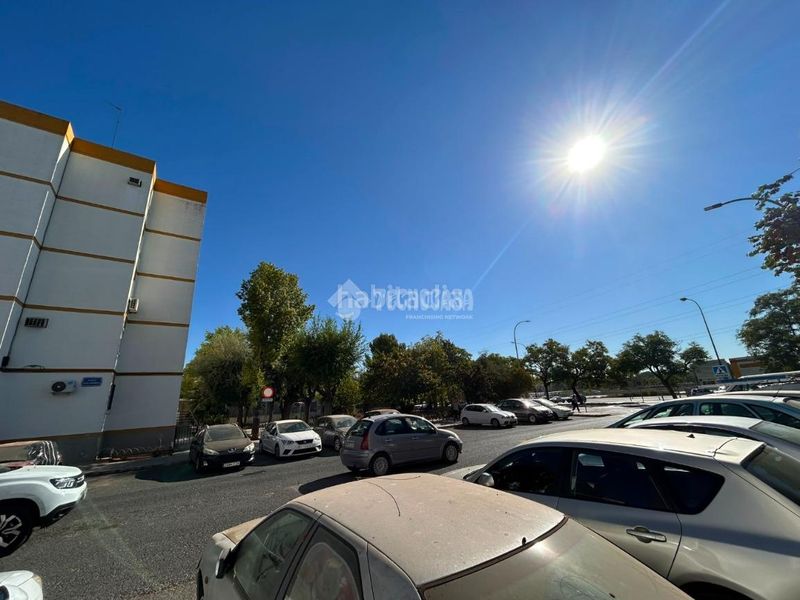 Foto e4ca584a-d149-4269-95c1-920f510d82c5. Pis a Pino Montano - Consolación Sevilla