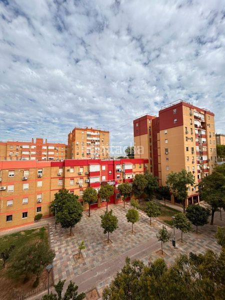 Foto 2c3699d9-aab0-4b6b-95a0-66fa02c8532d. Pis a Pino Montano - Consolación Sevilla