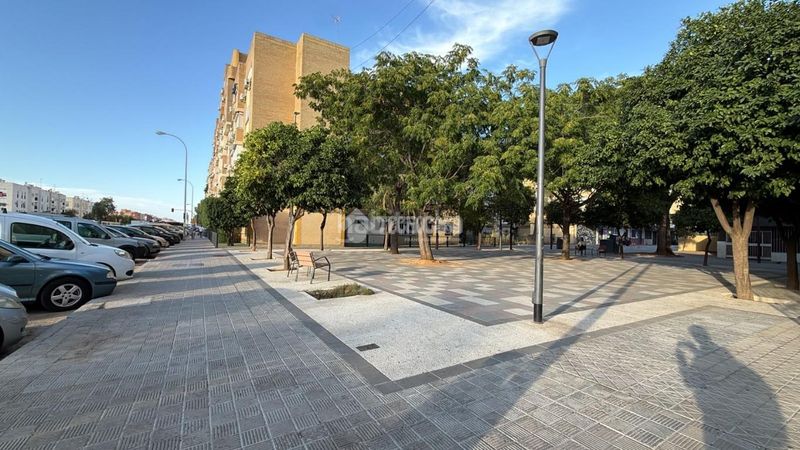 Foto ea8fc98b-81b7-4bc3-ba8a-0b84052ee963. Pis a Pino Montano - Consolación Sevilla