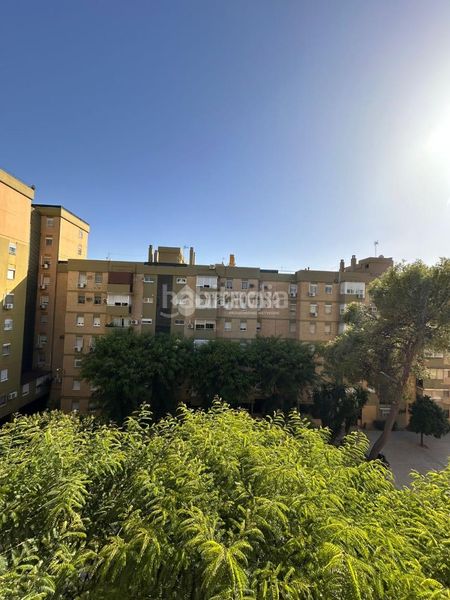 Foto 0ff54faf-7b19-4421-8e73-2e57f53fe44e. Pis a Pino Montano - Consolación Sevilla