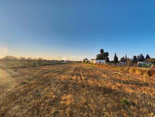 Propriété à Palacios y Villafranca (Los). Terrenos en venta en los palacios y villafranca