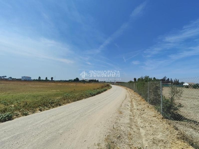 Foto 49190aa1-3ea7-4e92-a58b-5e8b9d5a4979. Finca rústica terrenos en venta en los palacios y villafranca en Palacios y Villafranca (Los)