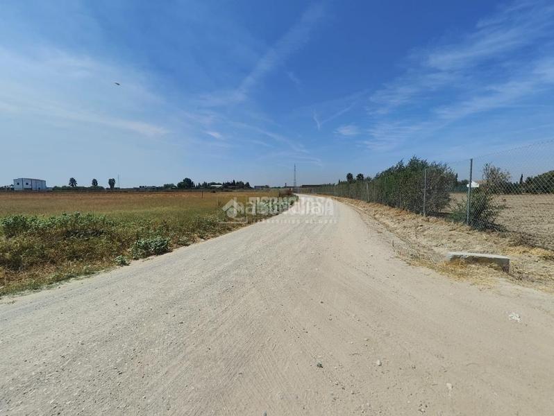 Foto 70d087d5-5597-4271-9c48-01f8ffc0838f. Finca rústica terrenos en venta en los palacios y villafranca en Palacios y Villafranca (Los)