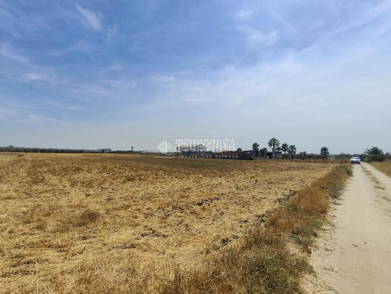 Foto ccf01763-0224-4f7e-bbeb-b99720d1c831. Finca rústica terrenos en venta en los palacios y villafranca en Palacios y Villafranca (Los)