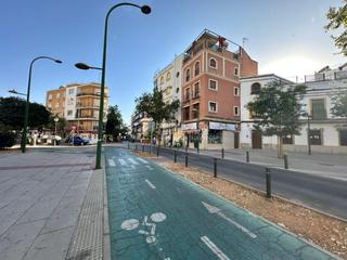 Alquiler Piso en Cruz Roja. Piso en alquiler en sevilla