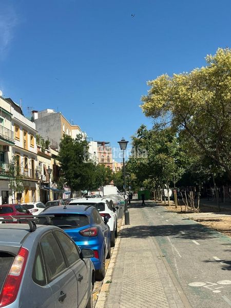 Foto 1fd4aed3-a8ee-47f0-bd1d-f06d5944b23b. Pis a Cruz Roja Sevilla