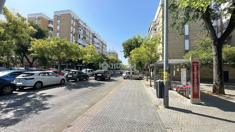 Foto b45751f0-d00e-4949-ba5c-c3e61c5294c0. Pis a El Torrejón - El Cerezo Sevilla