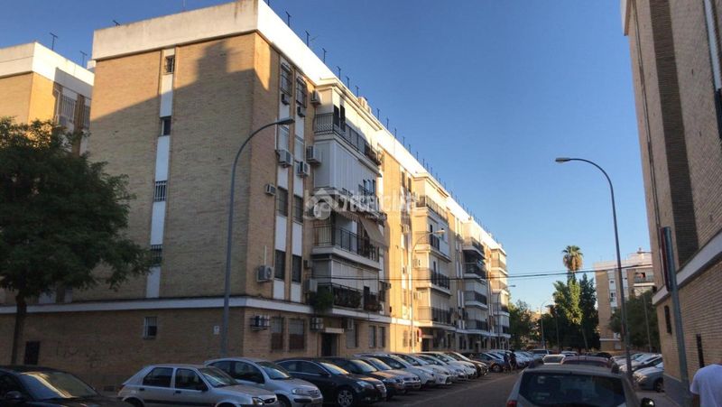 Foto b53a6840-7888-4e7a-aa68-ede8ec953a8a. Pis a El Torrejón - El Cerezo Sevilla