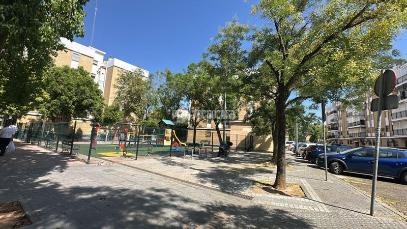 Foto eea2b4ed-e4c0-4d3d-a881-90849c566cd9. Pis a El Torrejón - El Cerezo Sevilla