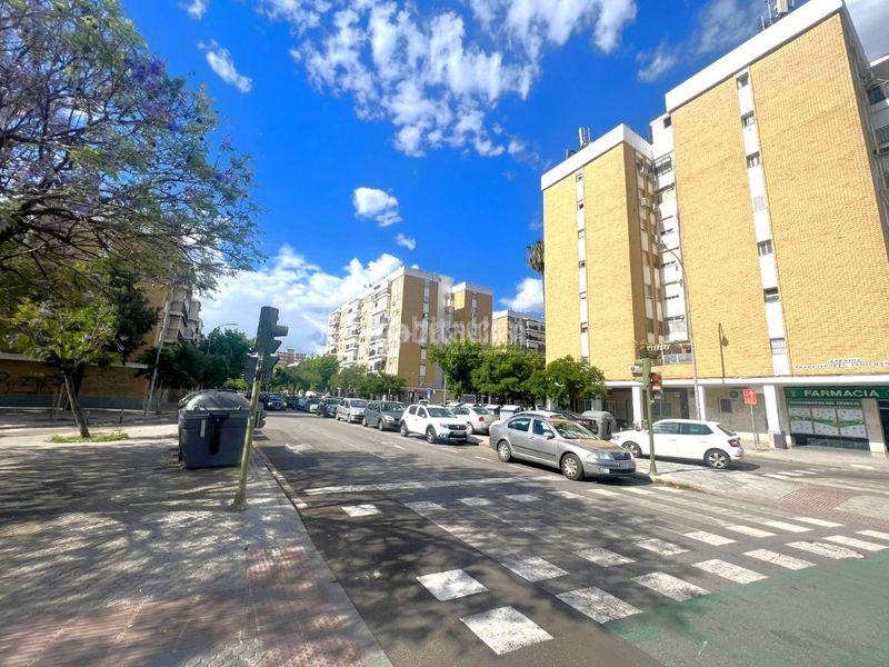 Foto 222ec086-1301-4b60-a07e-c72e46f3d762. Pis a El Torrejón - El Cerezo Sevilla