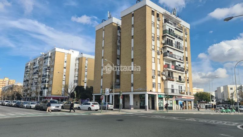 Foto 7995f7a8-2d5f-49ad-8822-efd69e07a03a. Pis a El Torrejón - El Cerezo Sevilla
