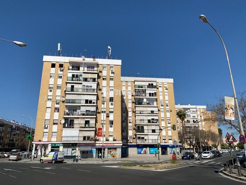 Foto e8667b72-989c-44b7-b71e-9dee53f57627. Pis a El Torrejón - El Cerezo Sevilla