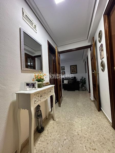 Foto 010416f9-95b6-46c2-97c1-e8d10f088db3. Pis a Cruz Roja Sevilla