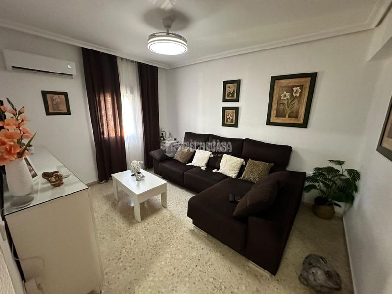 Foto 2dea91f7-4cbc-488f-a182-314a11c3f45d. Pis a Cruz Roja Sevilla