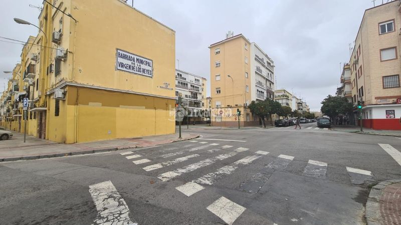 Foto 3a6caf25-4144-4162-84d4-3c385f5d910b. Pis a Cruz Roja Sevilla
