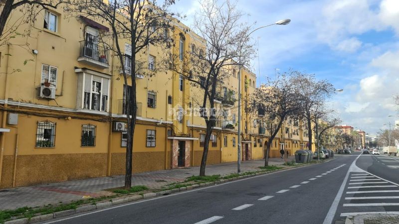 Foto bd8109c2-68e2-4c86-93dd-b5b11a65d252. Pis a Cruz Roja Sevilla