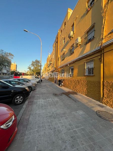 Foto c2588d7f-3d0c-467e-b1ad-f5586baaf383. Pis a Cruz Roja Sevilla