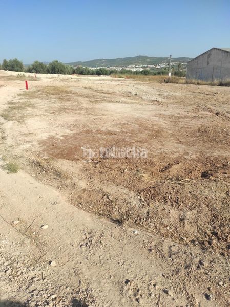 Foto 08df6231-255a-4453-b66e-ea3c8dfd98a7. Area edificabile industriale in Navas del Selpillar Lucena