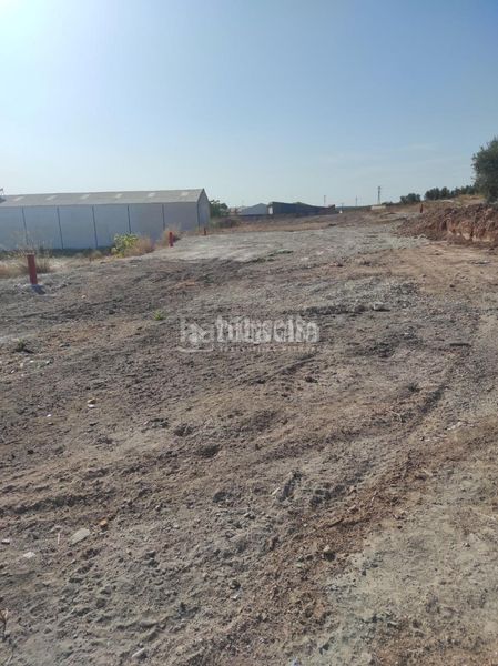 Foto 17f4d14b-a1eb-4454-b8c6-a6505f9dbdd9. Area edificabile industriale in Navas del Selpillar Lucena
