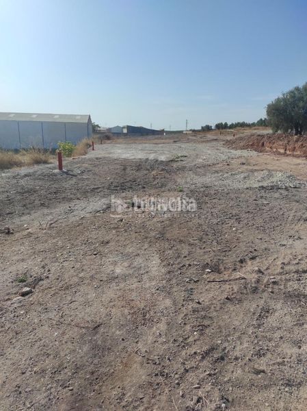 Foto 42e8d249-e011-438b-b7d4-0f4063c87505. Area edificabile industriale in Navas del Selpillar Lucena