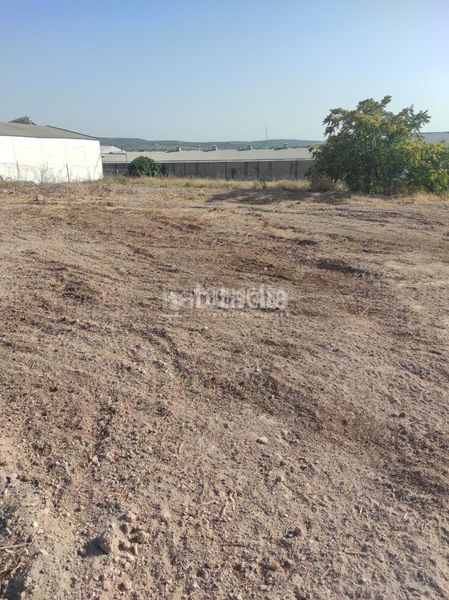 Foto 6fb493ba-a683-40d0-8886-ca9afa6cc98f. Area edificabile industriale in Navas del Selpillar Lucena