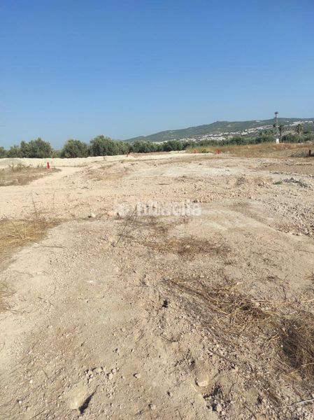 Foto 8530773e-50c1-437b-8c43-87180c5c6d5a. Area edificabile industriale in Navas del Selpillar Lucena